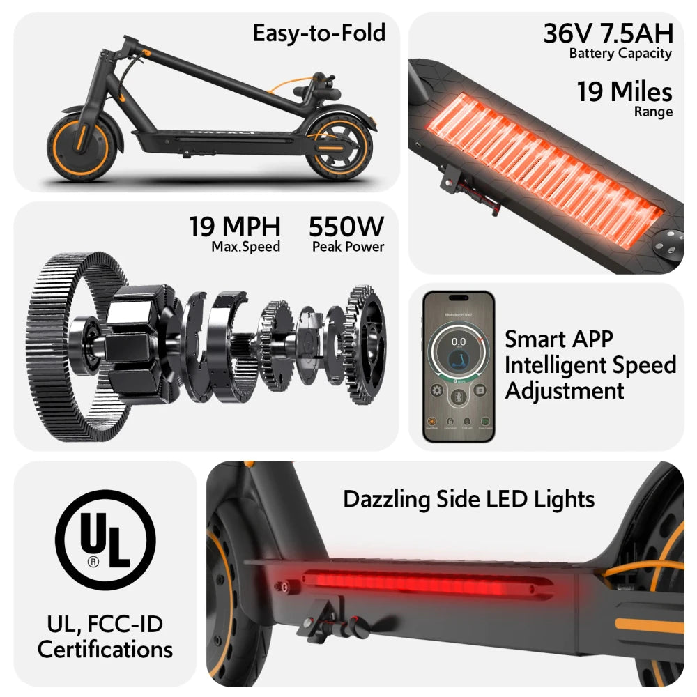 Electric Scooter with App Control